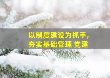 以制度建设为抓手,夯实基础管理 党建